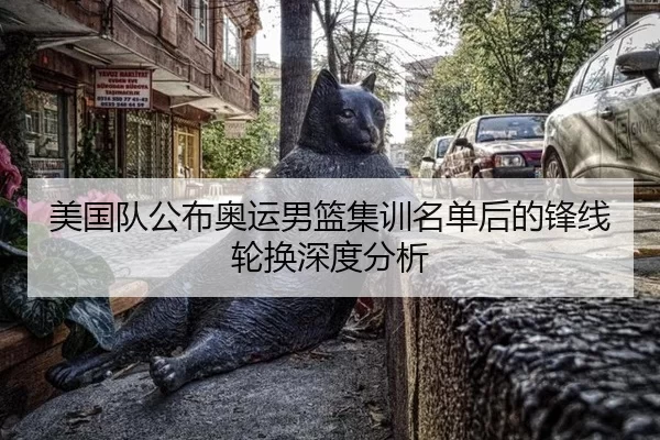 美国队公布奥运男篮集训名单后的锋线轮换深度分析